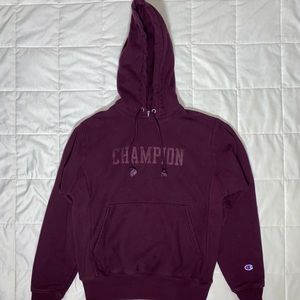 Champion Hoodie UO Exclusive